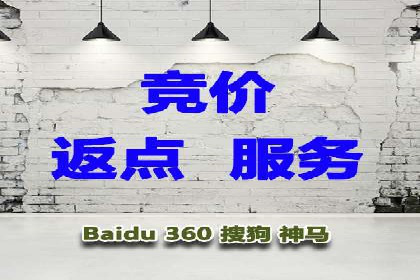 案例研究：百度竞价广告投放效果